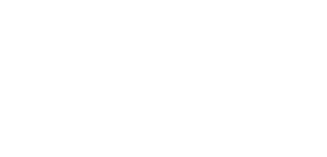 Star Iconic Travel and Tourism